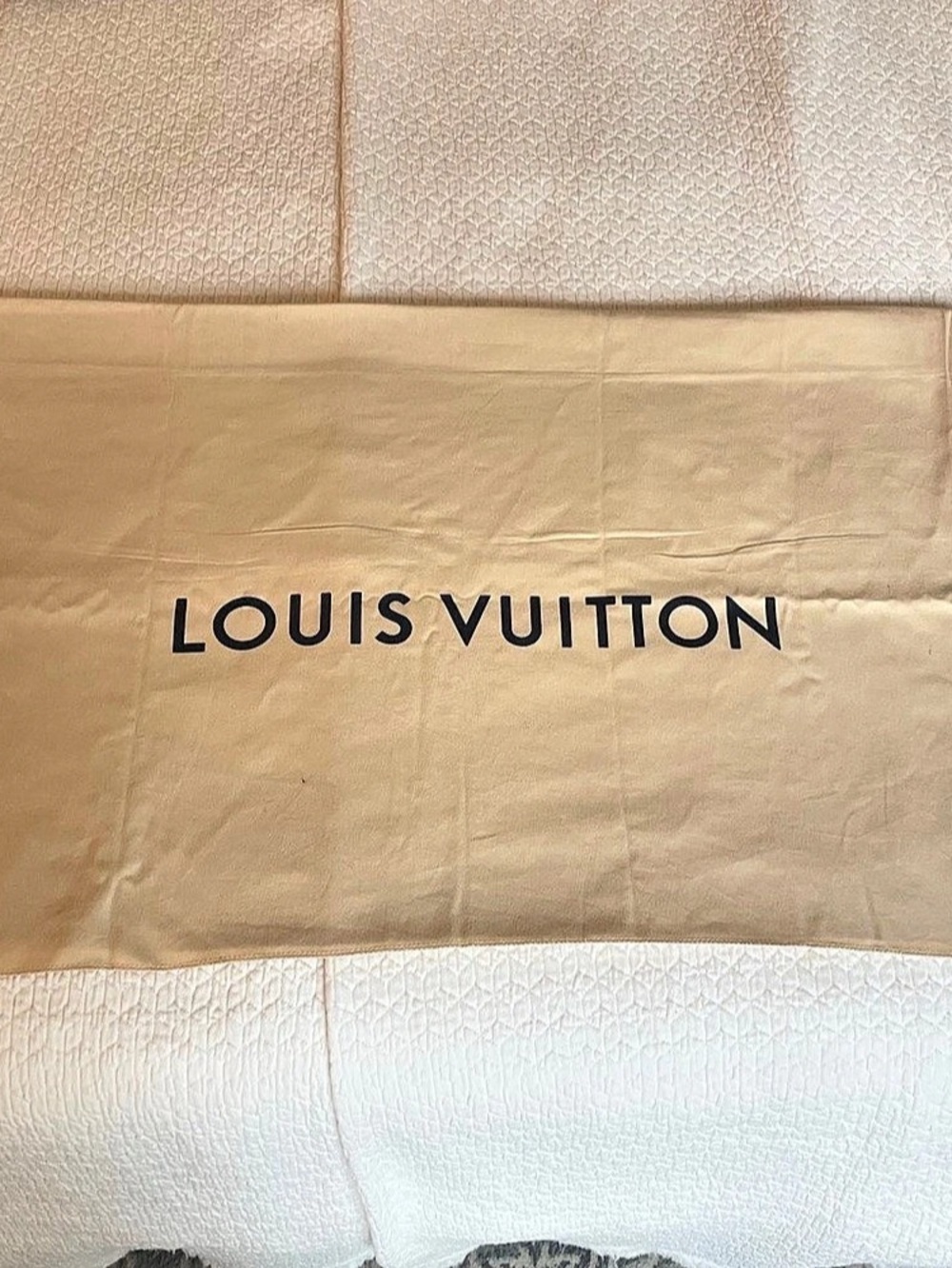 Louis Vuitton Dust Bag in Beige